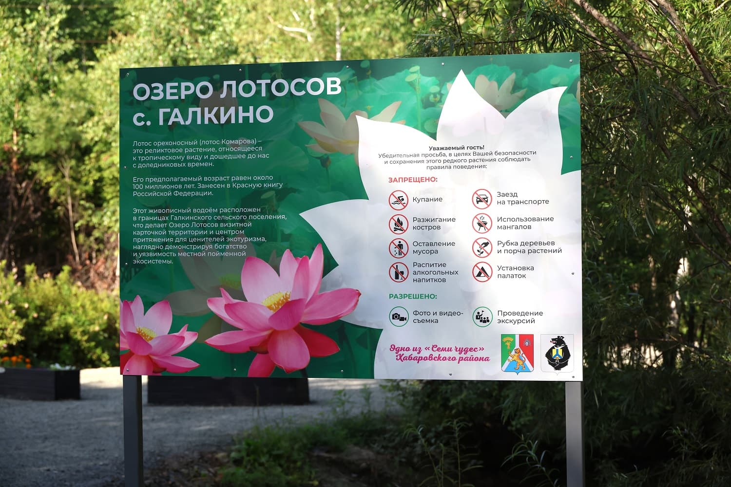 Приветственный аншлаг — точка маршрута «Озеро Лотосов (с. Галкино)»