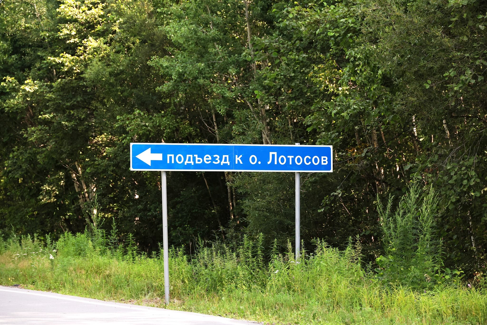 Автобусная остановка «Сады Водострой» — точка маршрута «Озеро Лотосов (с. Галкино)»